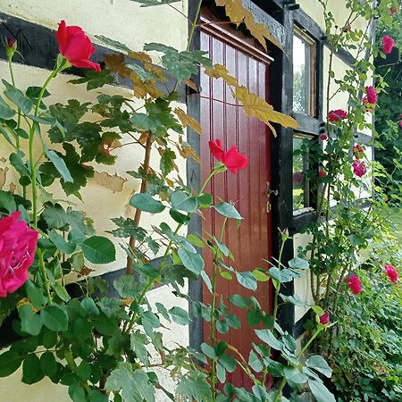 Bnb Het Geluk Van Limburg Mechelen Bagian luar foto
