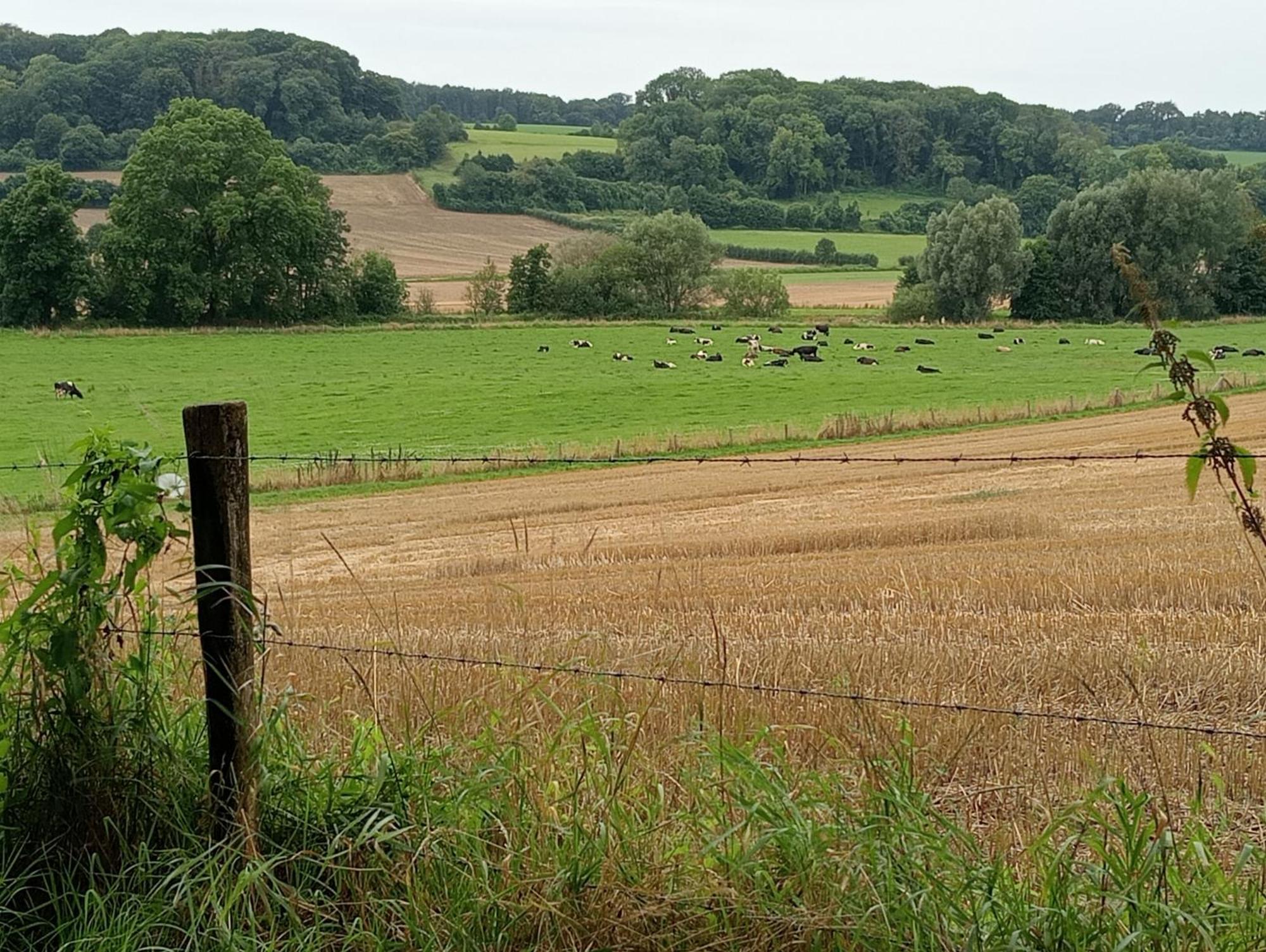 Bnb Het Geluk Van Limburg Mechelen Bagian luar foto