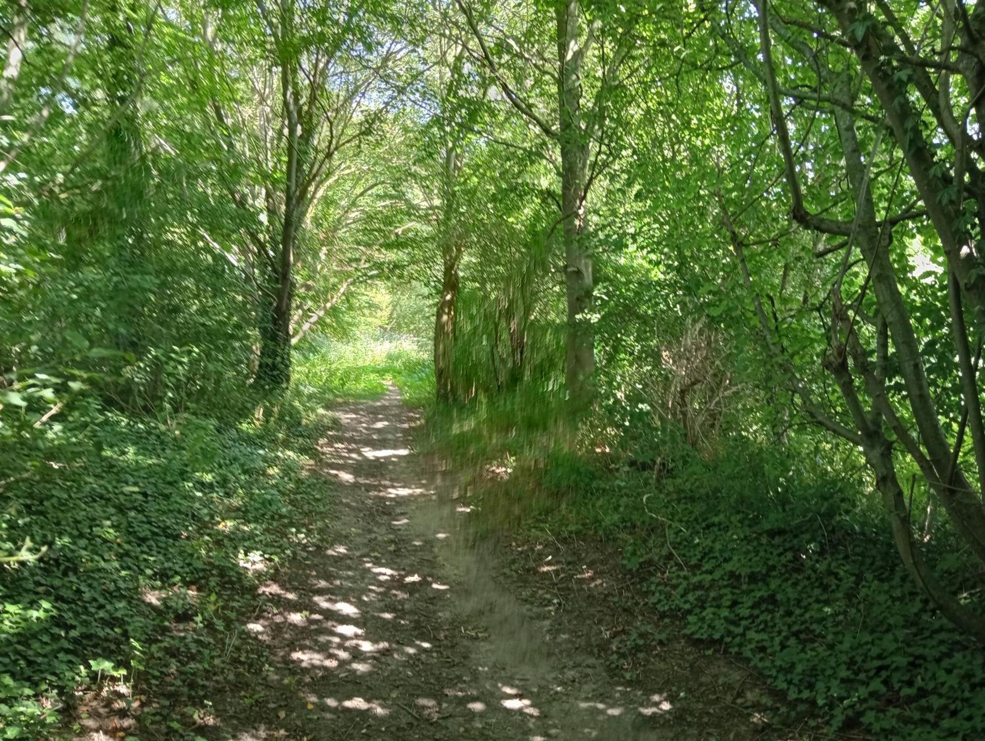 Bnb Het Geluk Van Limburg Mechelen Bagian luar foto