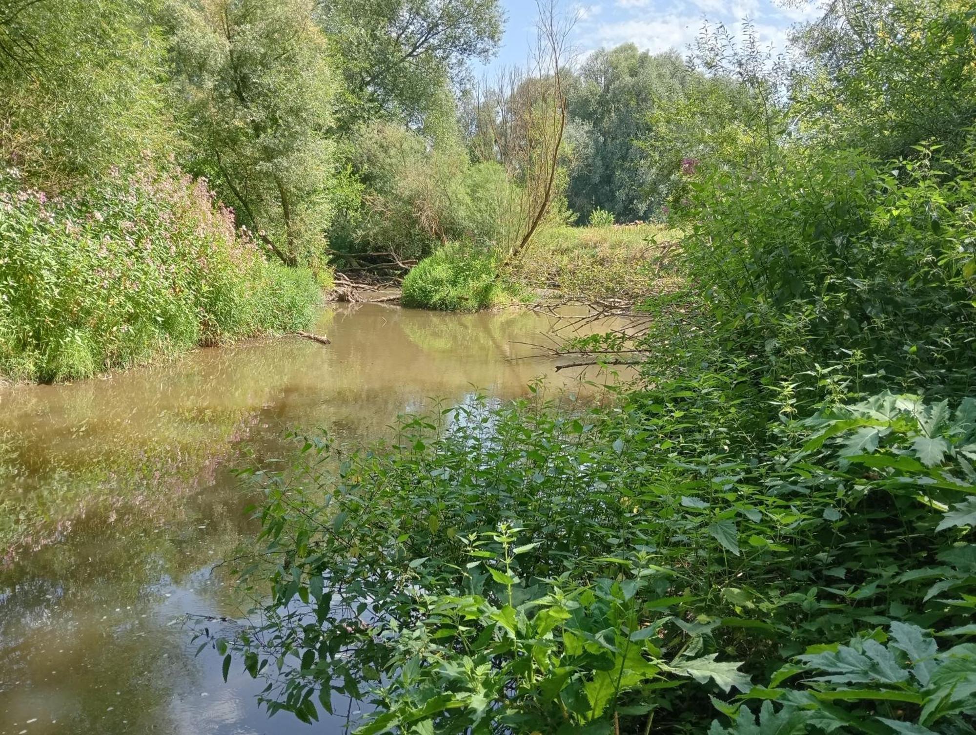 Bnb Het Geluk Van Limburg Mechelen Bagian luar foto