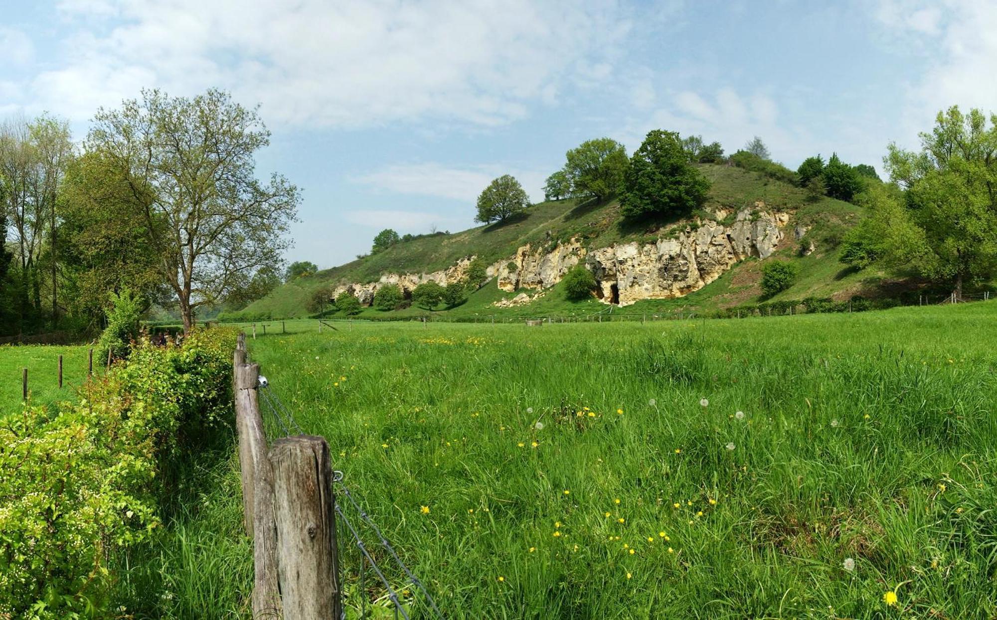 Bnb Het Geluk Van Limburg Mechelen Bagian luar foto