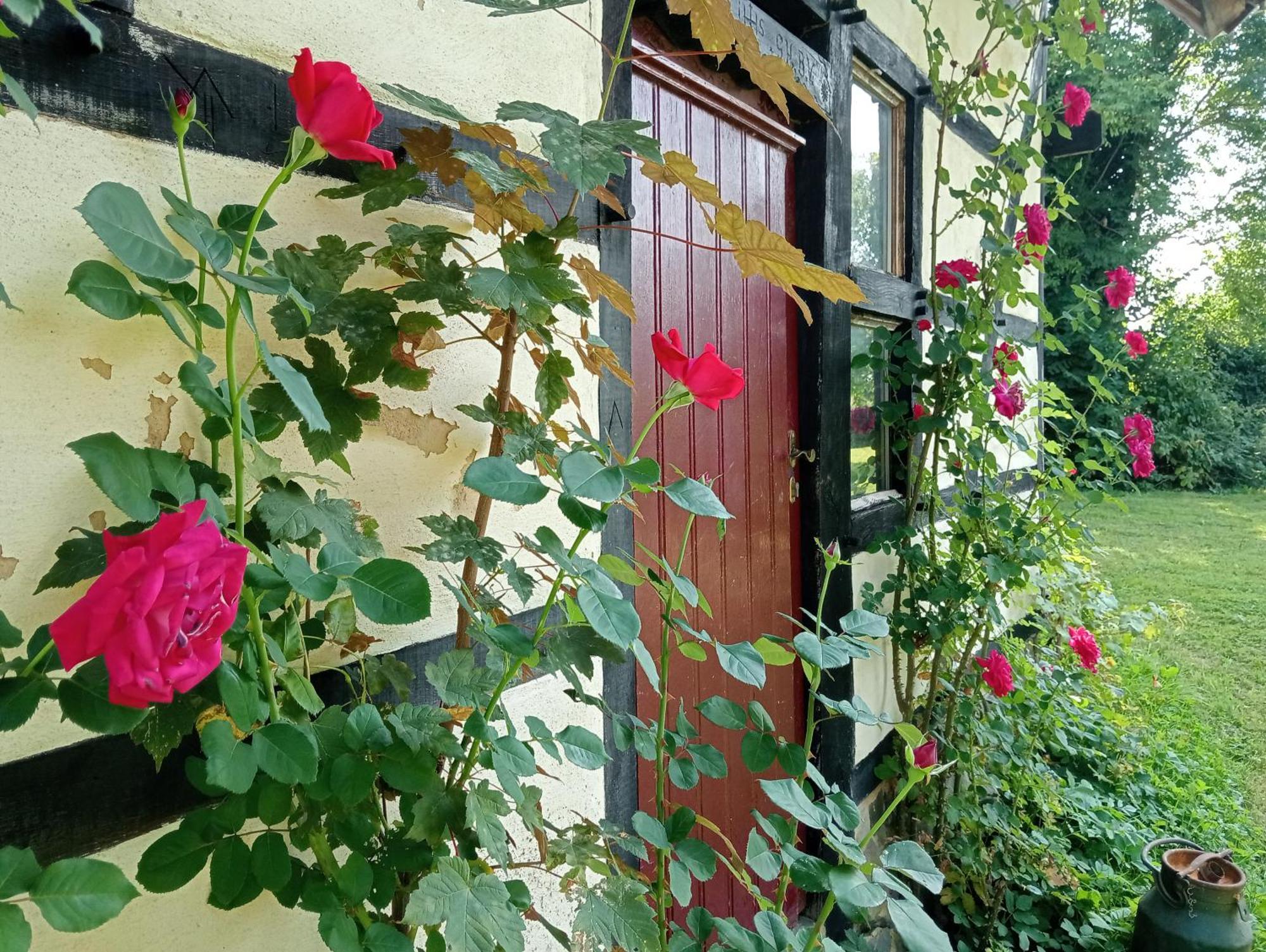 Bnb Het Geluk Van Limburg Mechelen Bagian luar foto